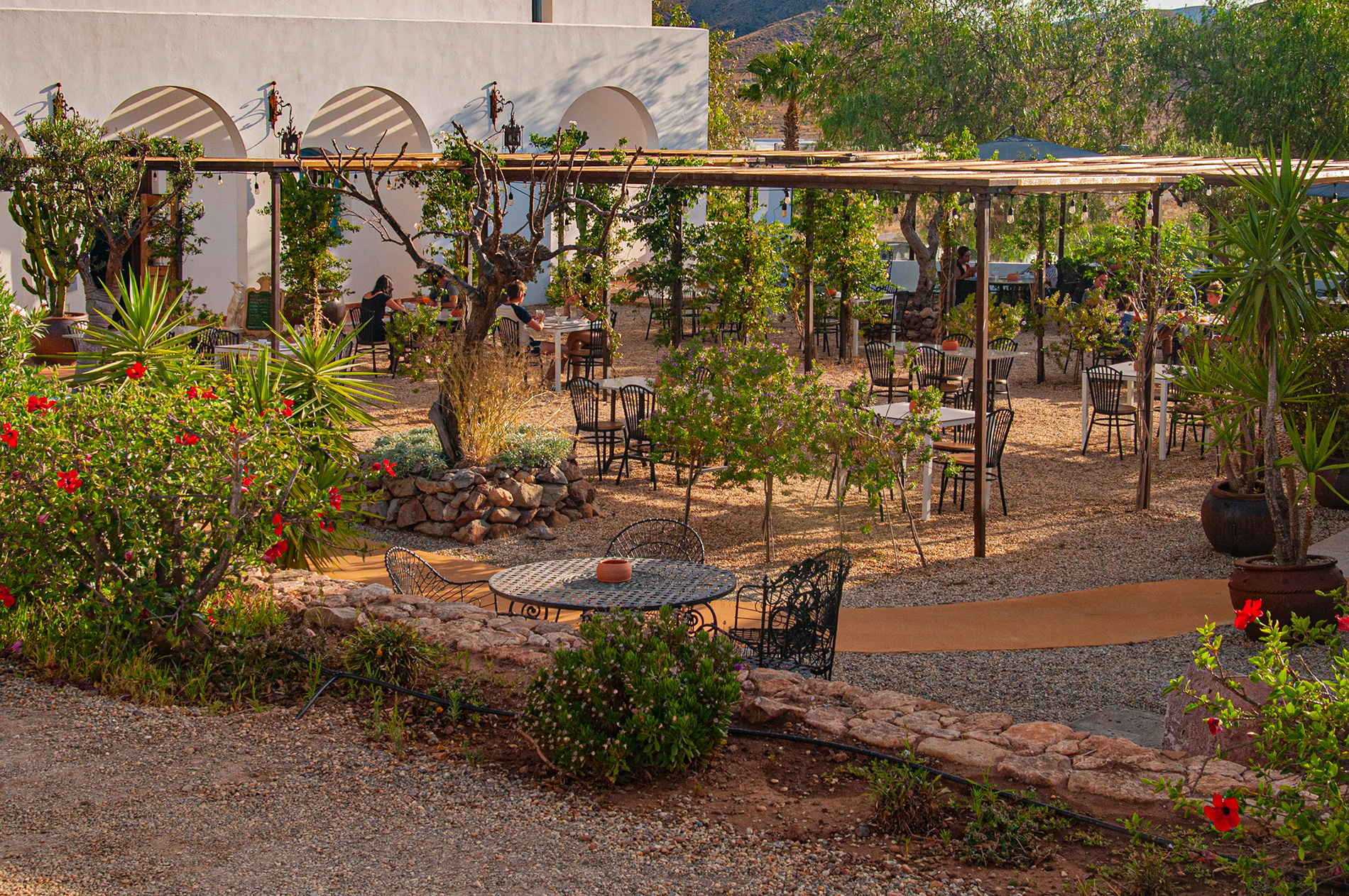 #EsteVirusLoParamosUnidos