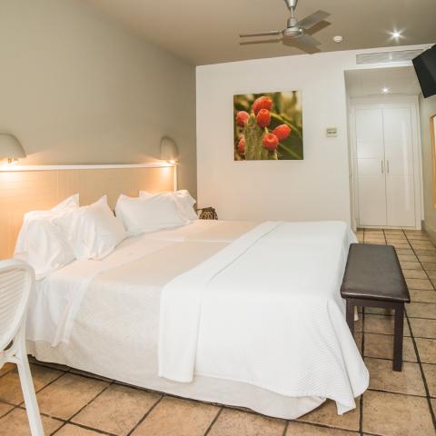 Habitación doble confort